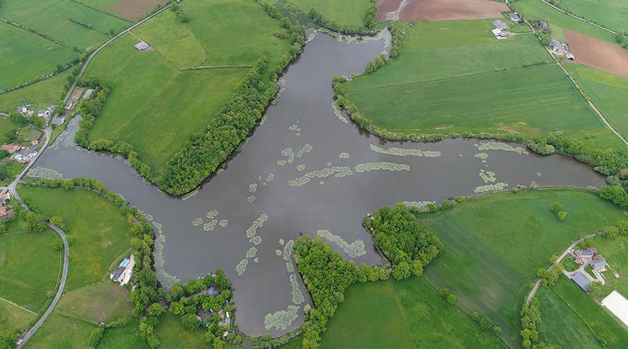 <p>It is important that all our guests respect this environment, including the lake inhabitants.</p>
